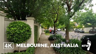 Walk around the streets of Toorak in Melbourne Australia  Ambient city sounds  4K [upl. by Angi]