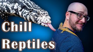 Top 5 Chill Easy Handling Reptiles [upl. by Gran906]