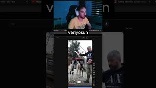 Kangal Nasıl Beslenmez twitch twitchtw [upl. by Doykos130]