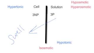 Tonicity amp Osmolarity [upl. by Siul]