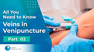 Anatomy of Phlebotomy I Venipuncture Procedure I Global Edulink [upl. by Mellar]