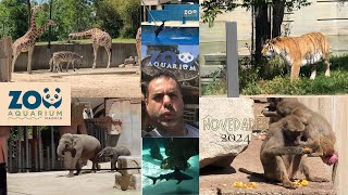 ZOO AQUARIUM MADRID MAYO 2024 [upl. by Brear]