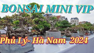 ZBVHN1lần đầu tiên ngắm dàn Bonsai Cây cảnh chân quý tại hội chợ triển lãm Phủ Lý Hà Nam 2024 [upl. by Adnolohs760]