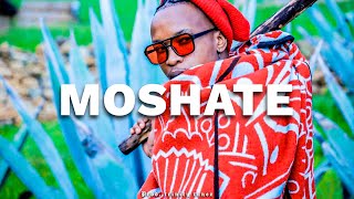 FREE Ntate Stunna x Malome Vector x Maleboo Type Beat  quotMoshatequot African Trap Type Beat 2023 [upl. by Leamiba225]