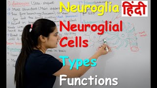 Neuroglia in Hindi  Types  Functions  Structure  neuroglial cells  Rajneet Medical Education [upl. by Eelyrehc]