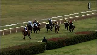 Mudgee race 1 15 June 2024 [upl. by Notnilk]