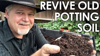 How To ReUse Old Potting Soil  4 Methods for Recycling  Black Gumbo [upl. by Bethesda]