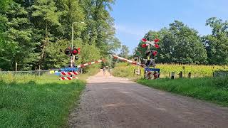 Spoorwegovergang Doetinchem  Dutch Railroad Crossing [upl. by Notneiuq757]