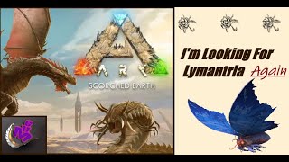 ARK Survival Ascended IM LOOKING FOR LYMANTRIA AGAIN  MAP SCORCHED EARTH  MHG 4K 14 [upl. by Milone]