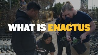 What is Enactus [upl. by Yssor]