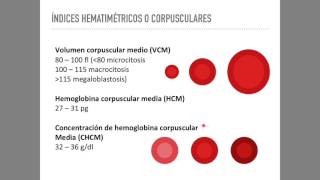 Biometría hemática Serie roja [upl. by Akcimahs]