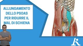 Allungamento dello psoas un esercizio efficace contro il mal di schiena [upl. by Natanoj664]