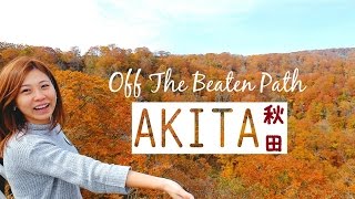 Japan Off The Beaten Path Autumn In Akita Prefecture  Japan Travel Guide [upl. by Rosario286]