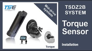 Tongsheng TSDZ2B Drive System Installation [upl. by Arotak]