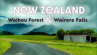 Driving to Waihou Forest And Wairere Falls from Matamata  New Zealand [upl. by Dhiren]