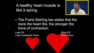 Frank Starling Law of Contractility [upl. by Terb689]