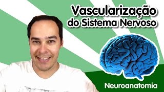 Neuroanatomia 11  Vascularização do Sistema Nervoso [upl. by Rases13]