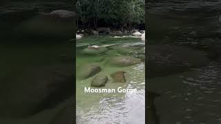 Mossman gorge  preview [upl. by Yerag]