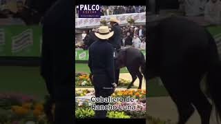 Caballero de Rancho Luna [upl. by Roberson]