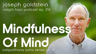 Mindfulness of Mind amp Thought – Joseph Goldsteins Satipatthana Sutta Series Pt 13 Insight Hour 216 [upl. by Anirtruc]