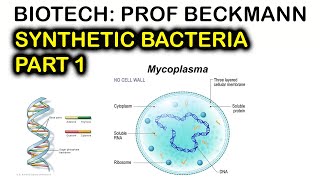 Synthetic Bacteria  part 1  Transposon Mutagenesis  Biotech 2023 [upl. by Arno]