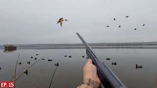 Foggy Duck Hunt Produces Limits  CA amp WA Duck Hunts [upl. by Virgil605]