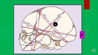 DIAMETERS OF THE FETAL SKULL [upl. by Niknar]