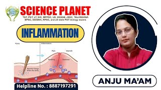 INFLAMMATION II BY ANJU MAM II SCIENCE PLANET II [upl. by Ebony518]