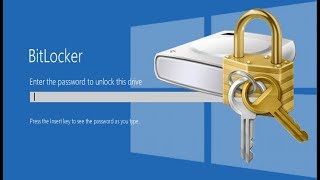 Как обойти вскрыть шифровальщик BitLocker TrueCrypt PGP Перезалив [upl. by Daisi383]