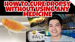 How to cure dropsy without using any medicinePano gamutin ang dropsy sa simpleng paraanUse headset [upl. by Aynatal]