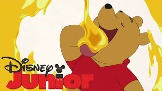 Winnie Puuh Vorlesewettbewerb  Mach mit und gewinne DISNEY JUNIOR [upl. by Toffic429]