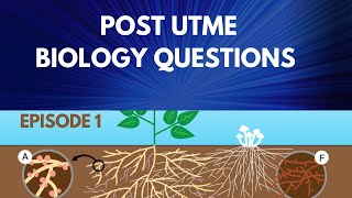 POST UTME BIOLOGY QUESTIONS [upl. by Ymot]