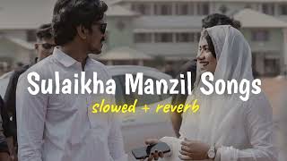 Sulaikha Manzil Songs  slowed  reverb  vibeeater [upl. by Ydnirb]