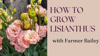 How to Grow Lisianthus with Farmer Bailey Hale [upl. by Fidellas213]