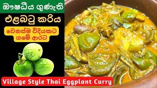 ගමේ රසට හදන සුපිරි එලබටු කරිය  Elabatu Curry  Thai Eggplant Curry Recipe Sinhala [upl. by Spark]