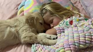 Adorable Golden Retriever Puppy Puts Little Girl To Bed Cutest Ever [upl. by Strain]