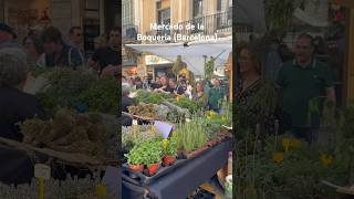 La Boqueria Market is a mustvisit in Barcelona laboqueria barcelona foodlover barcelonatravel [upl. by Hurff]