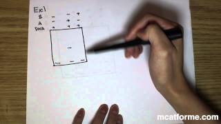 MCAT Biology Lecture Gel Shift Array [upl. by Cerallua]