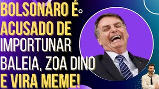 Bolsonaro é investigado por importunar baleia faz piada com Dino e vira meme [upl. by Ennaitsirk]