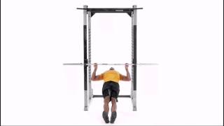 Inverted Row Exercise [upl. by Aihtennek]