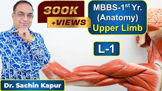 MBBS  First Year  1st Prof  Anatomy  Upper Limb L1  Dr Sachin Kapur  AIIMS [upl. by Alegnat]