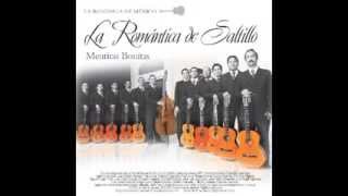 Mentiras Bonitas Álbum completo La Romántica de Saltillo 2011 [upl. by Rego473]