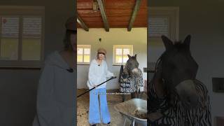 Sarina ist schockiert 😮 wie lange fahrt ihr in den Stall 🐴 ViktoriaSarina [upl. by Acceb926]