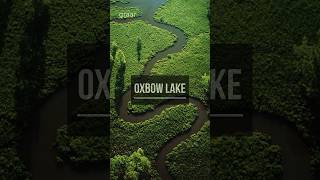 Oxbow Lake science sciencefacts oxbow [upl. by Armelda]