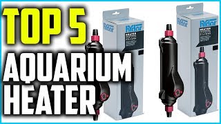 ✅ Top 5 Best Aquarium Heater of 2024 [upl. by Auos]