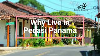 Why live in Pedasi Panama [upl. by Anal]