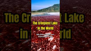 Discover the Terrifying Lake Natron Where Animals Turn to Stone [upl. by Baras]