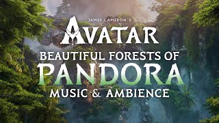 Avatar  Forests of Pandora Music amp Ambience in 4K w videogameworlds [upl. by Peterec728]