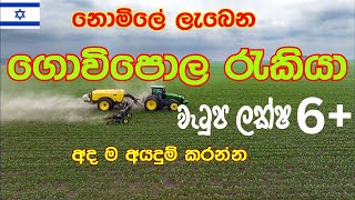 නොමිලේ යන්න ලැබෙන ගොවිපොල රැකියා 1000ක් ඊශ්‍රායලයෙන් II Free Farm Jobs 1000 from Israel [upl. by Imeaj942]