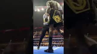 Deontay Wilder vs Zhilei Zhang Chinese knockout boxing [upl. by Arednaxela]